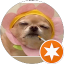Cito Top profile picture